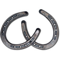 Horseshoe PNG