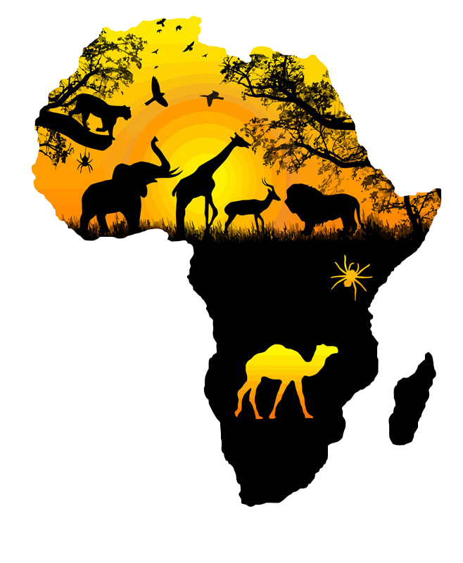 Wall Carnivoran Decal Africa Yellow Download Free Image PNG Image