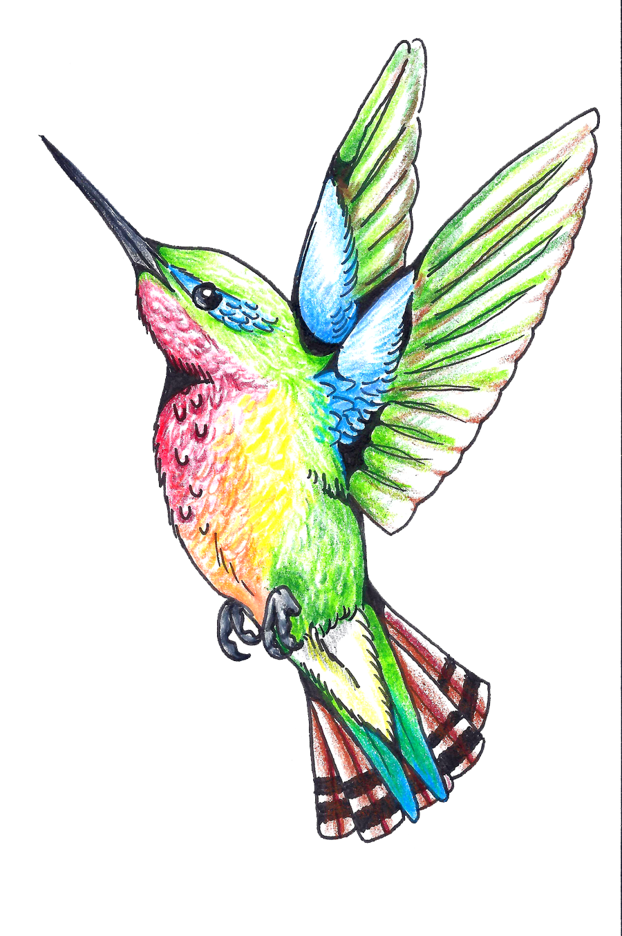 Flying Colorful Hummingbird PNG File HD PNG Image
