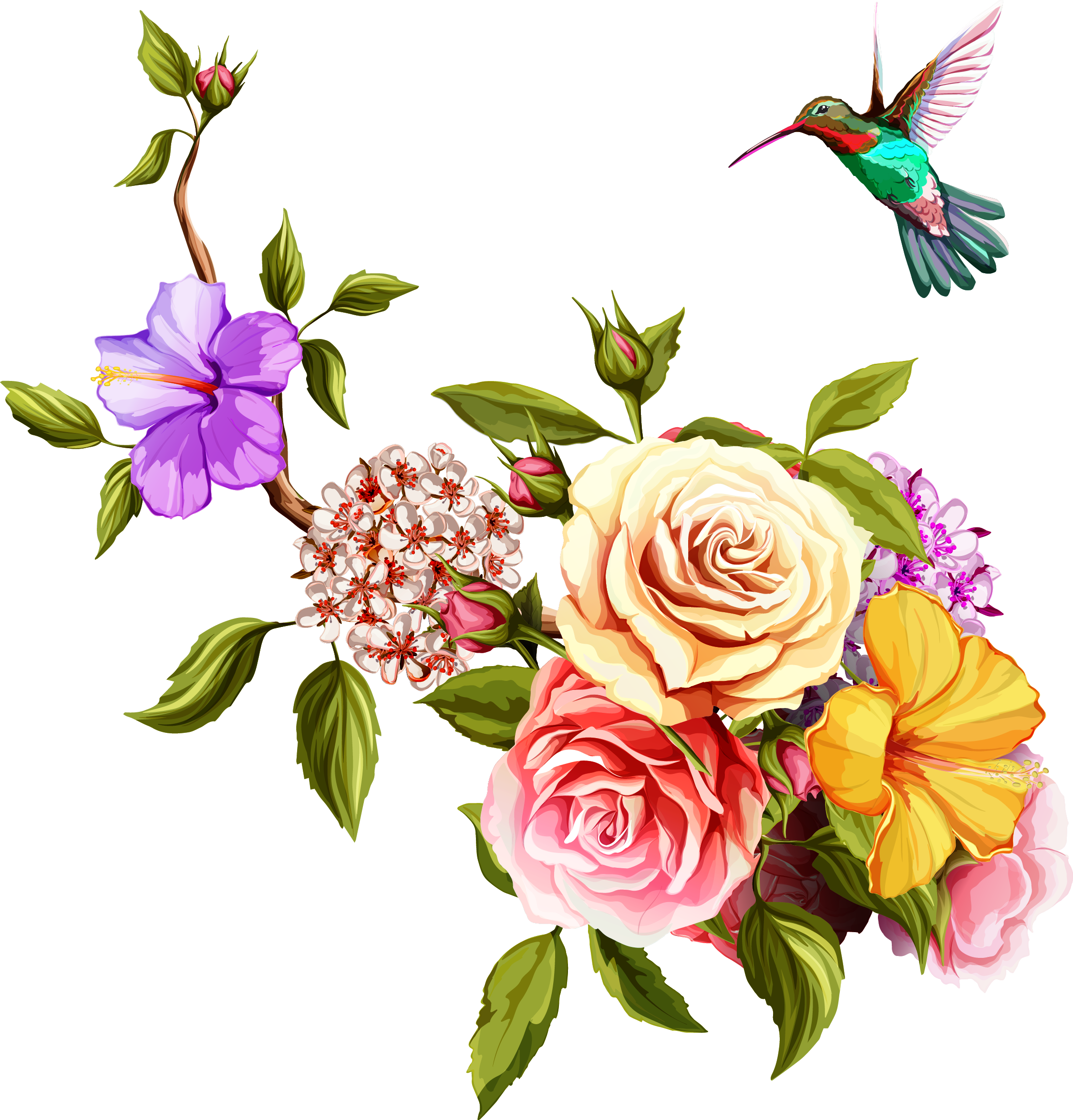 Watercolor Photos Flower Hummingbird Free Clipart HQ PNG Image