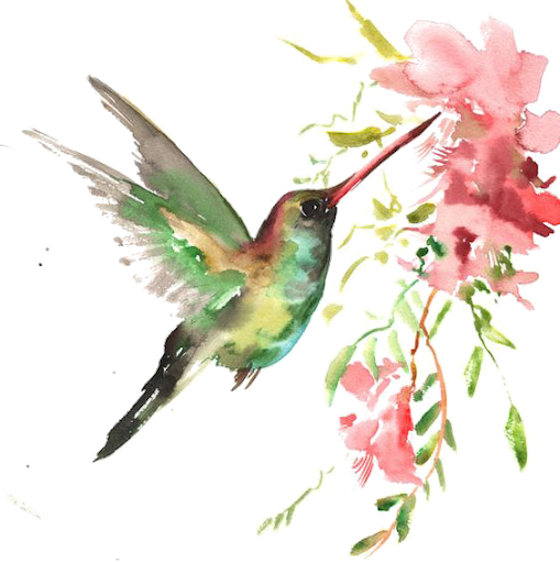 Watercolor Flower Hummingbird Free HD Image PNG Image