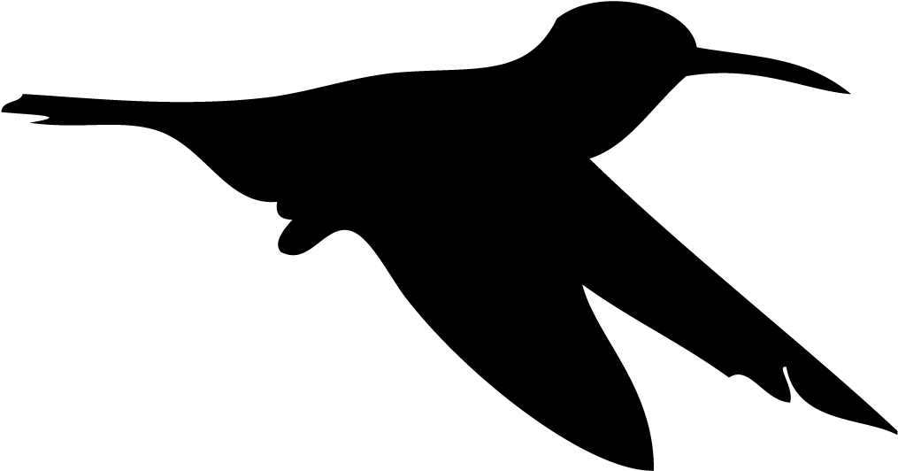 Flying Silhouette Hummingbird Free Clipart HD PNG Image