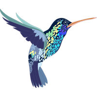 Flying Vector Photos Hummingbird PNG Free Photo PNG