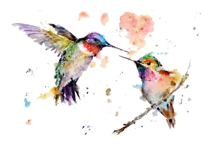 Watercolor Hummingbird Free Photo PNG Image