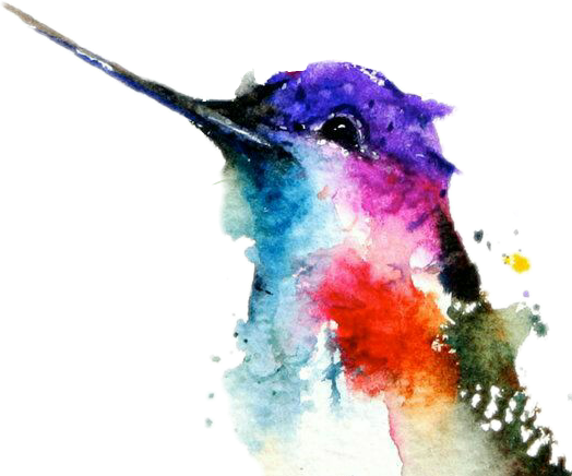 Watercolor Photos Hummingbird Free Download PNG HD PNG Image