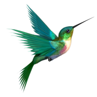 Download Hummingbird Free PNG photo images and clipart | FreePNGimg