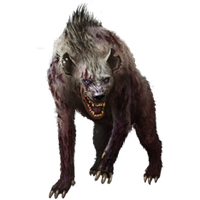 Hyena PNG