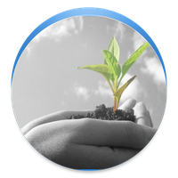 Wise Counsel Ithaca Life Jpeg PNG Download Free