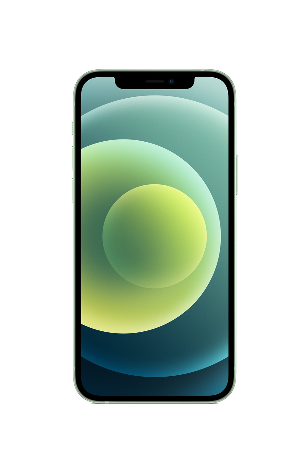 Iphone 12 Transparent PNG Image