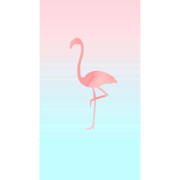 Flamingo Flamingos Iphone Wallpaper Desktop Free HQ Image PNG Image