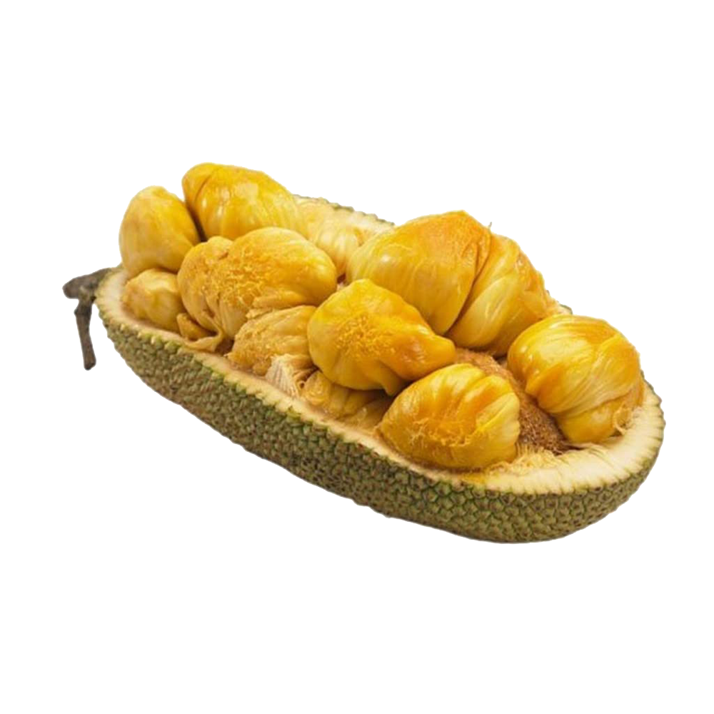 Jackfruit Transparent PNG Image