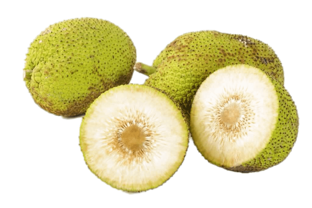 Jackfruit Transparent PNG Image
