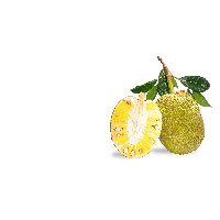 Jackfruit PNG