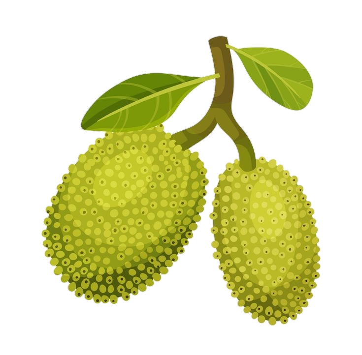 Jackfruit Transparent PNG Image