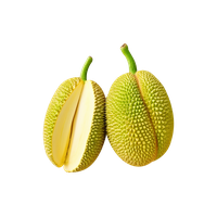 Jackfruit PNG