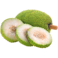 Jackfruit