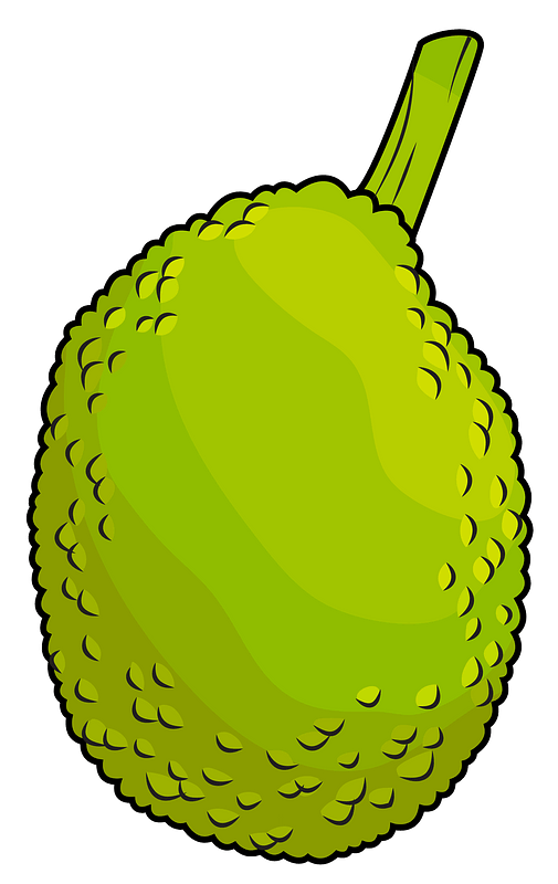 Jackfruit Transparent PNG Image