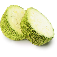 Jackfruit cut PNG