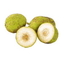 Jackfruit Transparent PNG Image