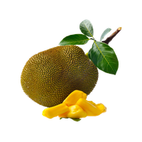 Jackfruit PNG