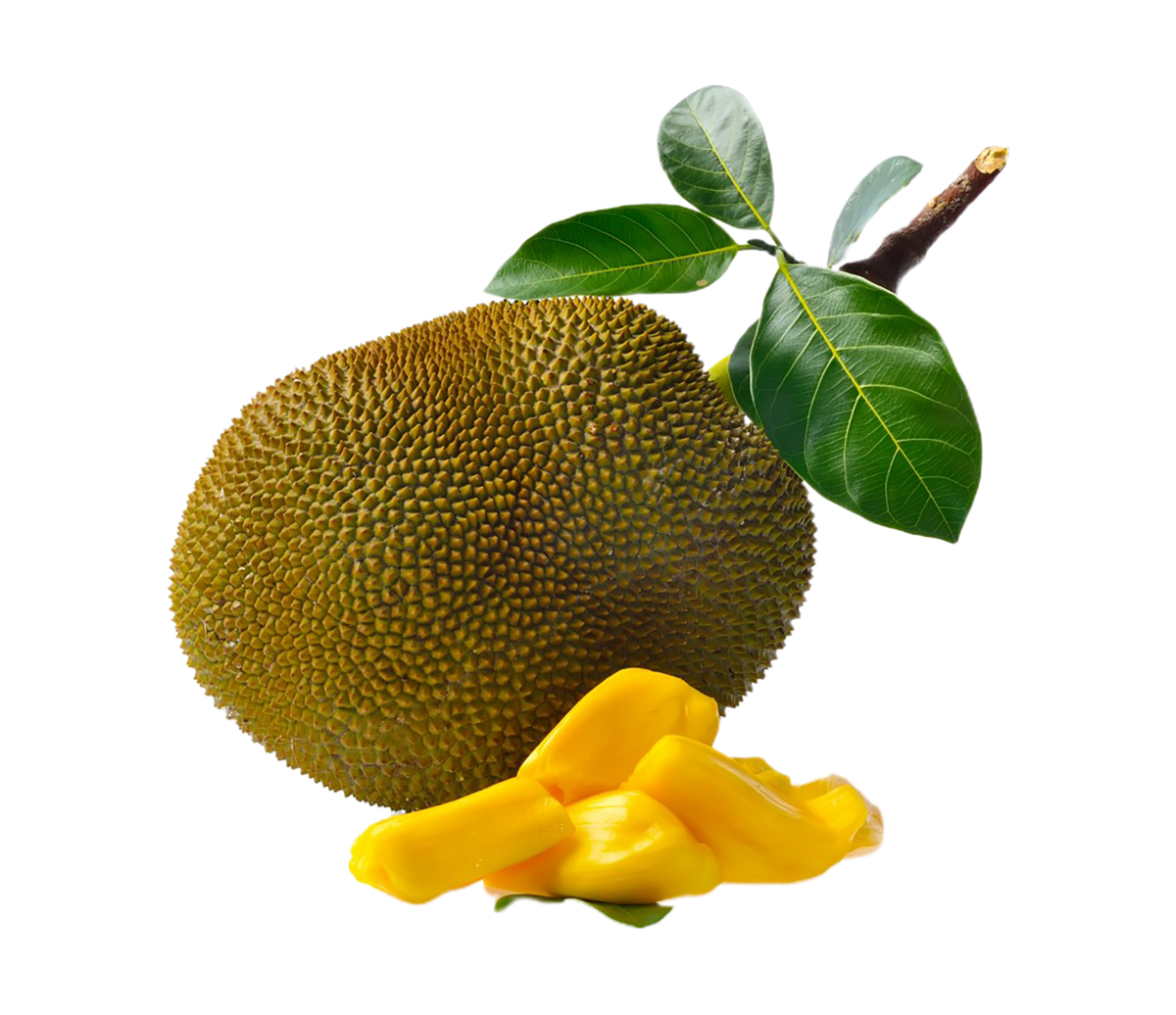 Jackfruit Transparent PNG Image