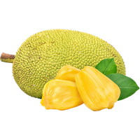 Jackfruit Transparent PNG Image