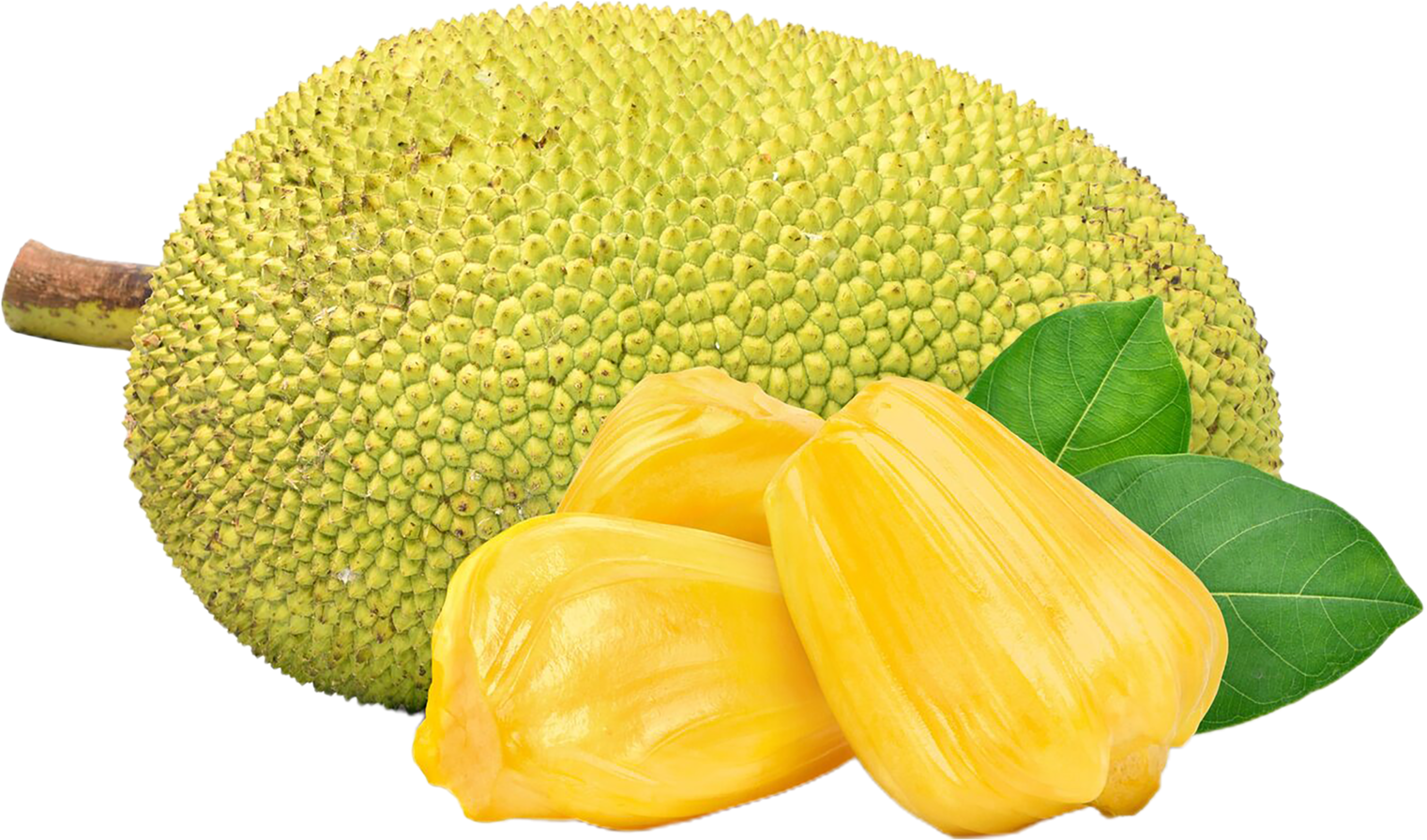 Jackfruit Transparent PNG Image