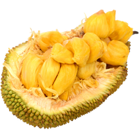 Jackfruit Transparent PNG Image
