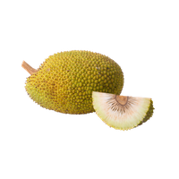 Jackfruit Transparent PNG Image