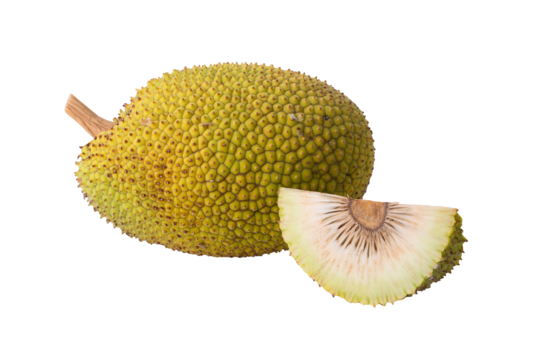 Jackfruit Transparent PNG Image