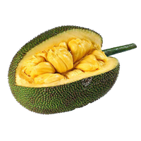 Jackfruit Transparent PNG Image