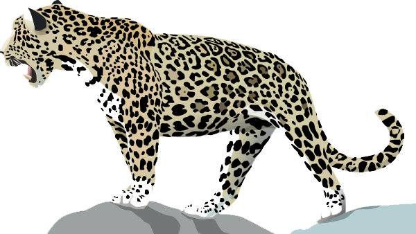 Jaguar Transparent PNG Image
