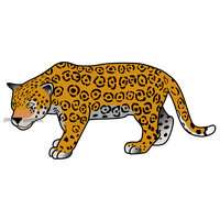 Jaguar Free Frame PNG Image