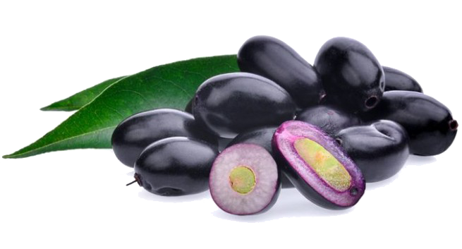 download jamun java plum transparent hq png image freepngimg download jamun java plum transparent hq