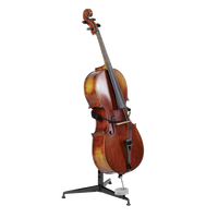 Cello Photos Free Transparent Image HD