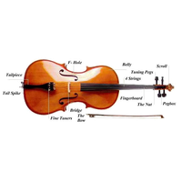 Cello Picture Free Clipart HD