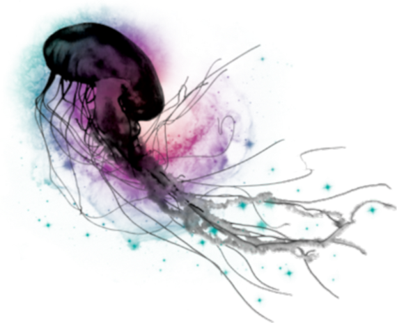 Jellyfish Transparent PNG Image