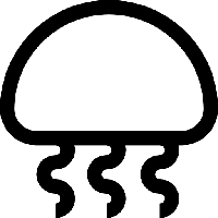 Jellyfish PNG