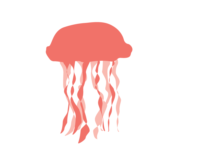 Jellyfish Transparent PNG Image