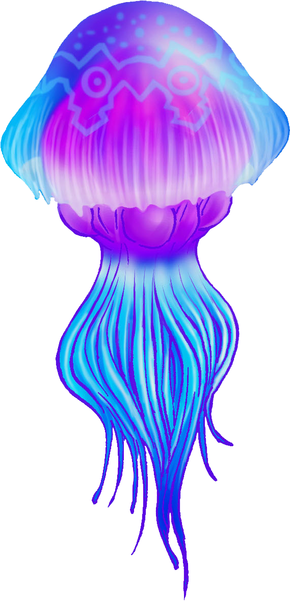 Jellyfish Transparent PNG Image