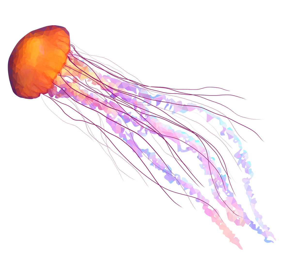 Jellyfish Transparent PNG Image