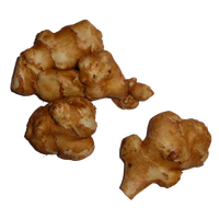 Download Jerusalem Artichokes Free PNG photo images and clipart ...