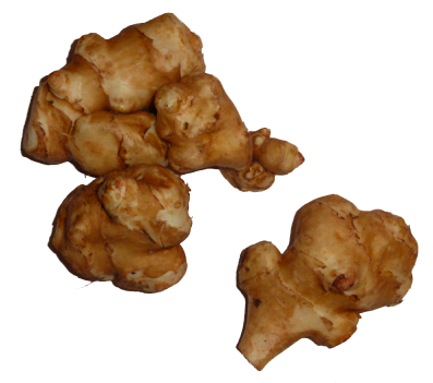 Jerusalem Artichokes Png Image Transparent PNG Image