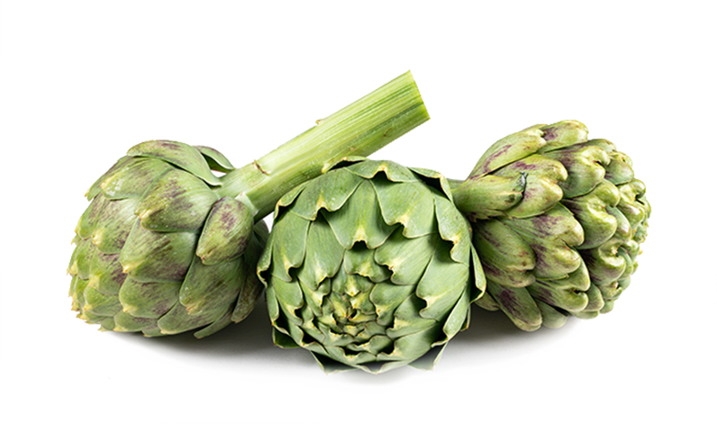 Single Artichoke PNG File HD PNG Image