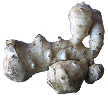 Jerusalem Artichokes Png Transparent PNG Image