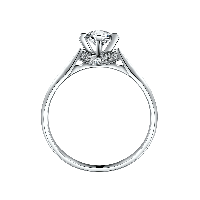 Silver Ring With Diamond Png PNG