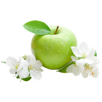 Picture Apple Cider Material Pear Juice Green PNG