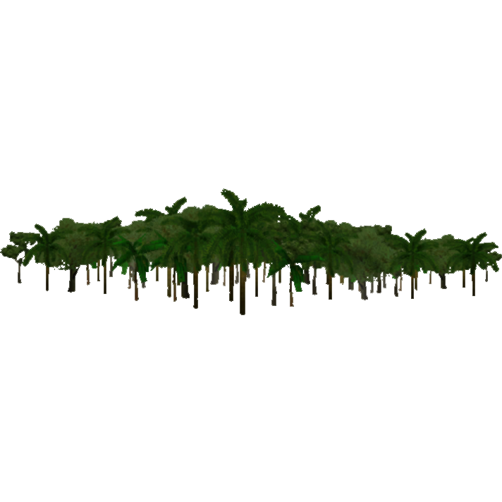 Download Jungle Transparent Background HQ PNG Image | FreePNGImg