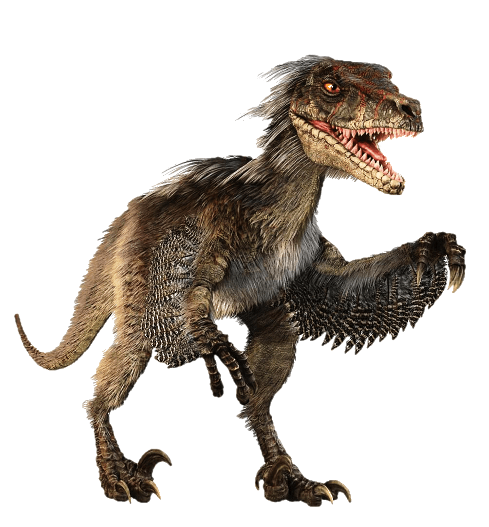 Velociraptor Dinosaur Tyrannosaurus Free HD Image PNG Image