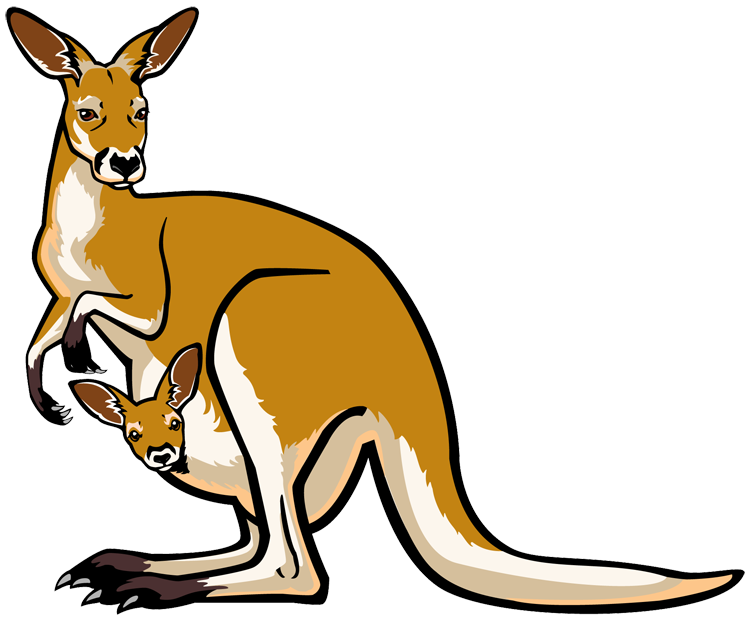 Kangaroo Joey HQ Image Free PNG Image